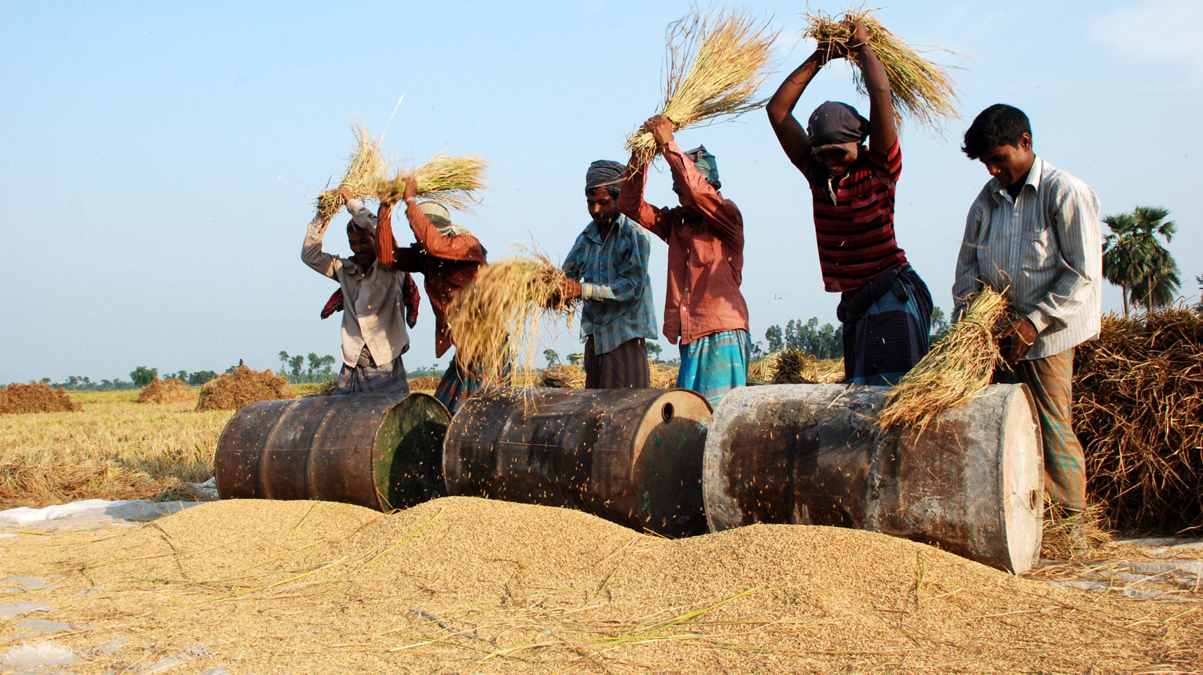 Komoditas Pertanian Yang Dihasilkan di India Saat Ini I
